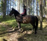 Sara Österberg rider sin medryttarhäst