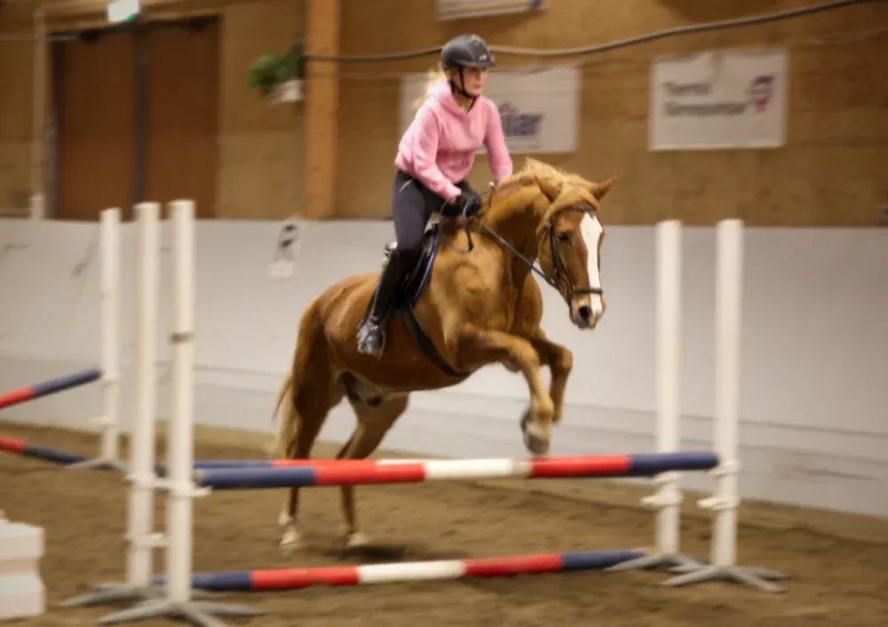 Ryttare hoppar ett hinder i ridhuset